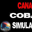 cobaiasimulator