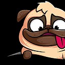 FunnyAnimales4U