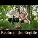 Realmofthereptile