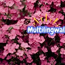 Multilingwal