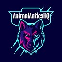 AnimalAnticsHQ