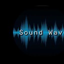 soundwavepings