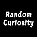 RandomCuriosity0