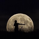 Moondance_Kid