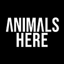 AnimalsHereRumble