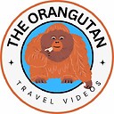 TheOrangutan