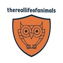 thereallifeofanimals