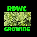 RDWCGrowing