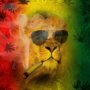 WizzyWig2024