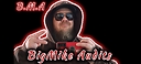BigMikeAudits