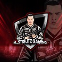 H_StiglitzGaming