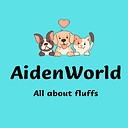 AidenWorld