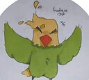 Budgie13_Fandom