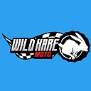 WildHareMoto