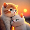 ANIMALADVENTURE123