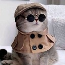 FunnyPetVideos78