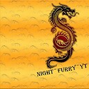 NightFurryyt