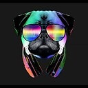 FrequencyFlowRadio