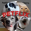 Petflix23