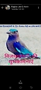 Anand1369