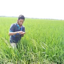 sutono1