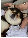hjjiu