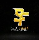 slapfightingchampion