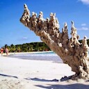 Fulgurite