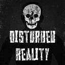 DisturbedReality