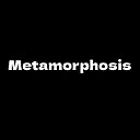 MetamorphosisTube