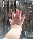 nasrin6240