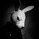 White_Rabbit_Media