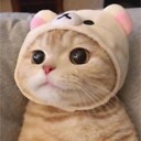 FunniestDogsANDCats
