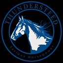 thundersteedstudio