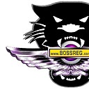 BOSSREG