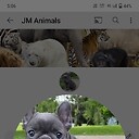 jmanimals