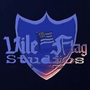 VileFlagStudios