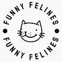 funnyfelines1