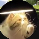 CatfatherB