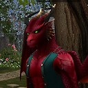 braddragon