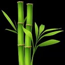 bambooleaf
