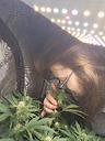 MrGreenBeans33