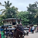 Sahanash