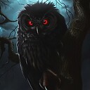 Drama586