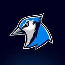 jaybird15