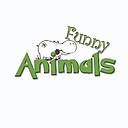 RumbleFunnyAnimals