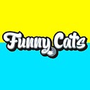 FunnyCatsTV1