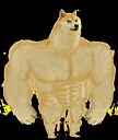 TheDogPack814