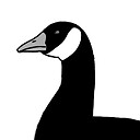 GymGeese