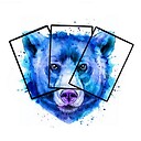 TheBearNecessiTCG